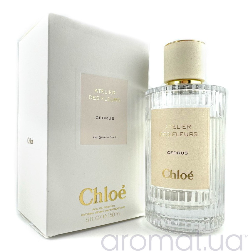 Chloe Atelier des Fleurs Cedrus 