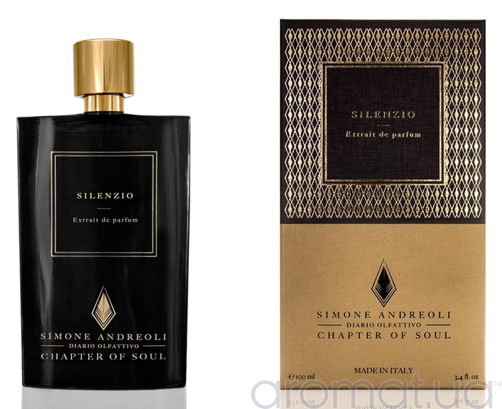 Simone Andreoli Silenzio