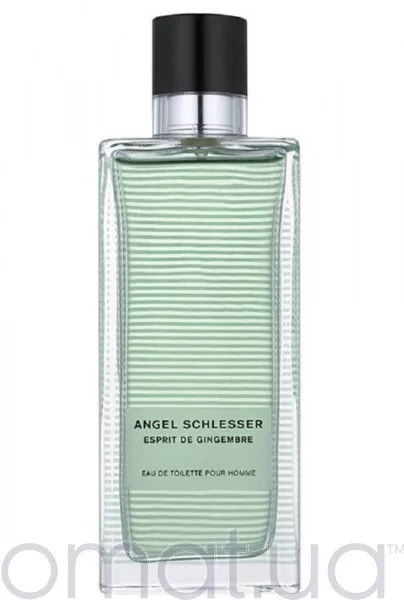 Angel Schlesser Esprit Gingembre Pour Homme Тестер