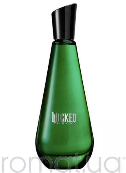 Ariana Grande Wicked For Good – Elphaba Enchanted