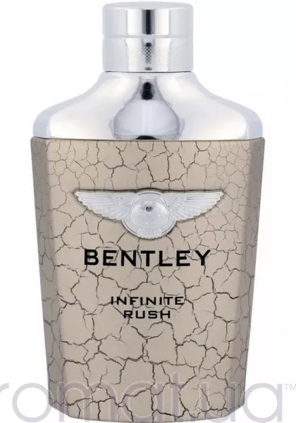 Bentley Infinite Rush Тестер