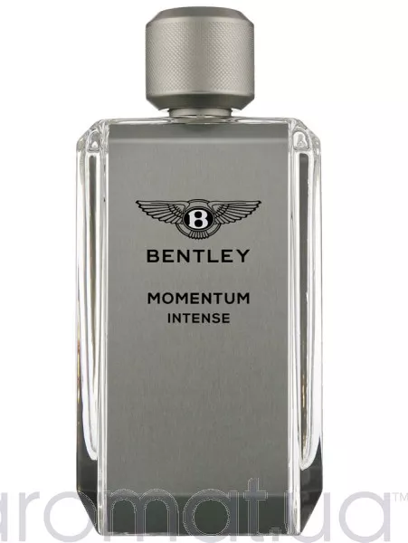 Bentley Momentum Intense Тестер