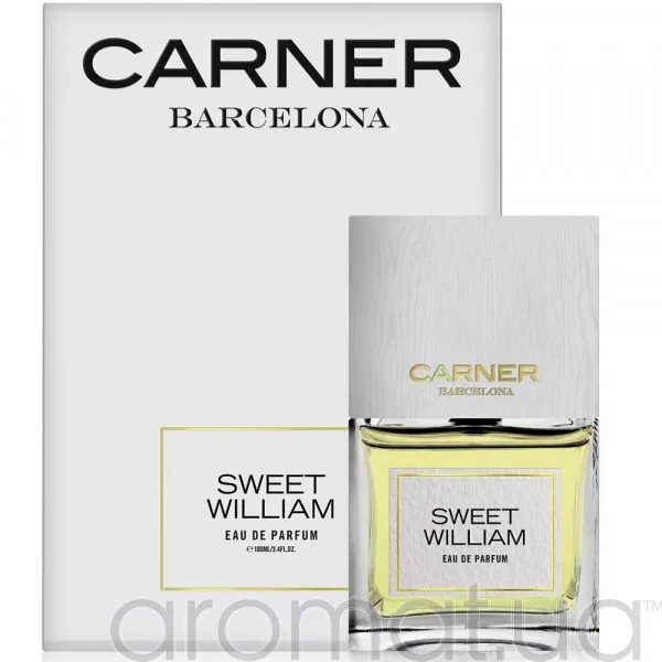 Carner Barcelona Sweet William