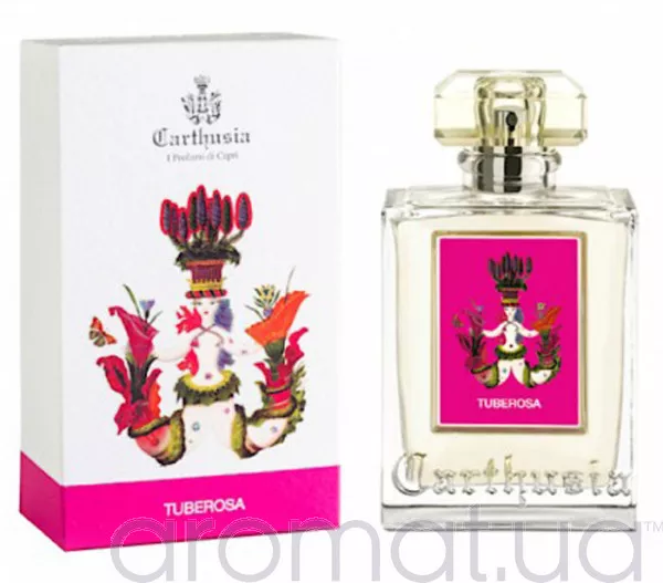 Carthusia Tuberosa
