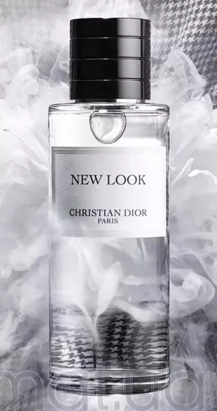 Christian Dior New Look 2023