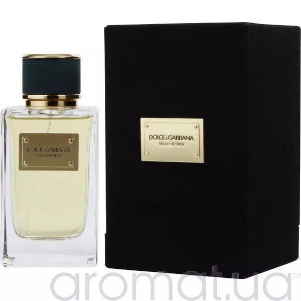 Dolce & Gabbana Velvet Vetiver