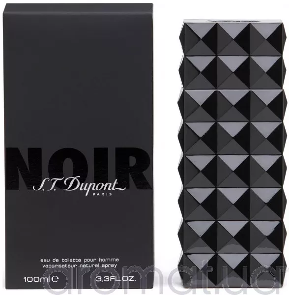 Dupont Noir pour Homme