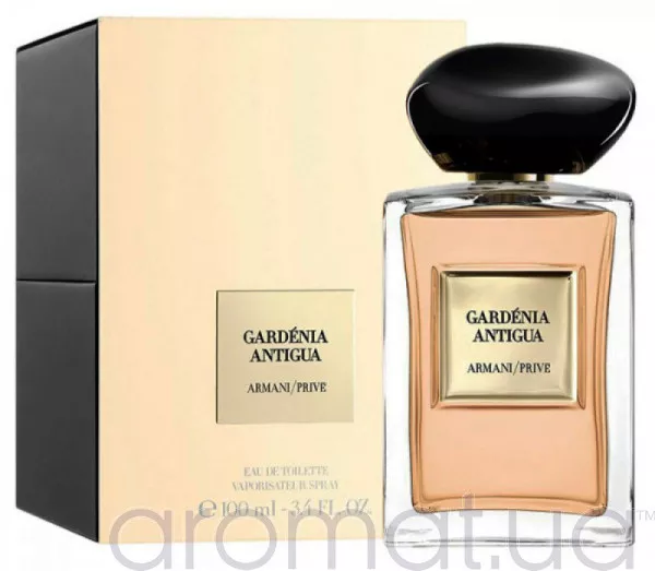 Giorgio Armani Prive Gardenia Antigua