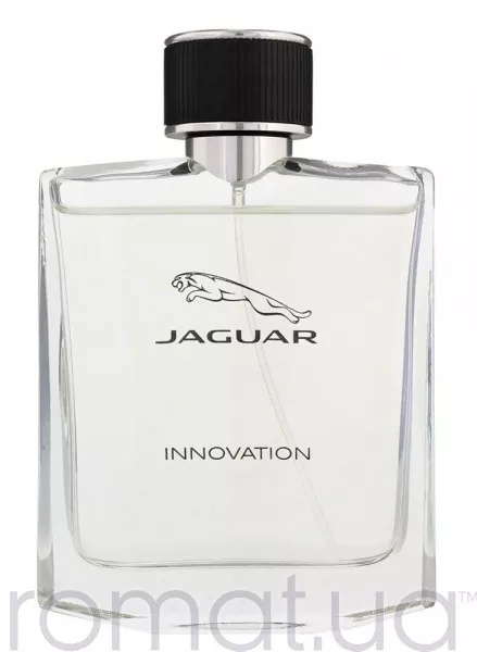 Jaguar Innovation Тестер