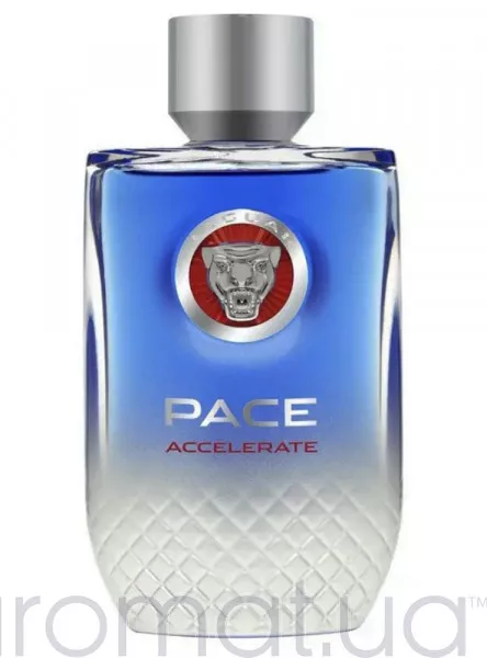 Jaguar Pace Accelerate Тестер