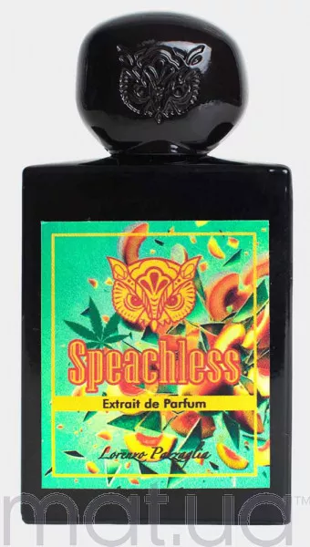 Lorenzo Pazzaglia Speachless