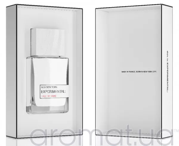 MiN New York Experimental Hall of Fame