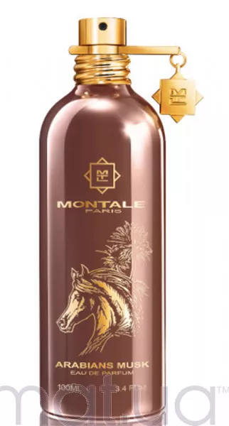 Montale Arabians Musk