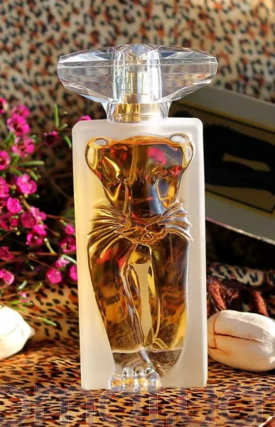 Salvador Dali La Belle et l'Ocelot Eau de Parfum Тестер