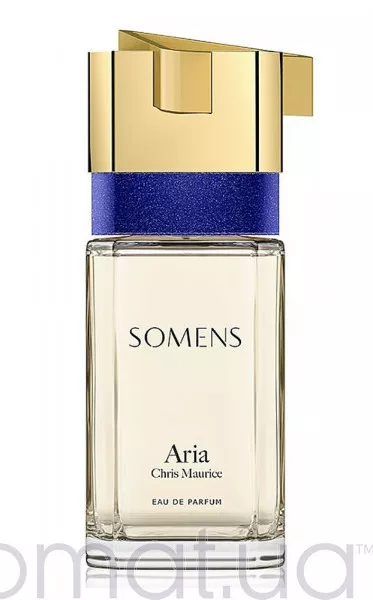 Somens Aria Тестер