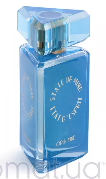 State of Mind Open Mind Тестер