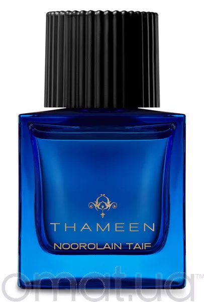 Thameen Noorolain Taif Тестер