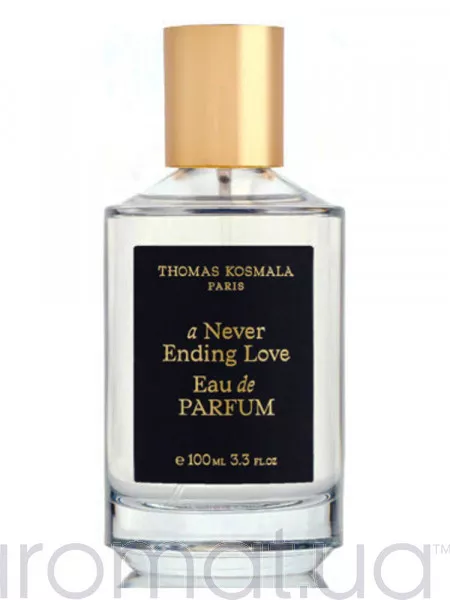 Thomas Kosmala A Never Ending Love