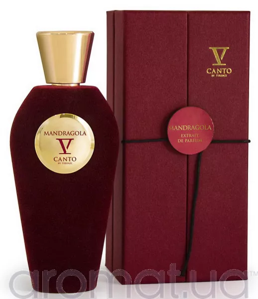 V Canto Mandragola