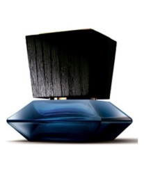 Adolfo Dominguez Private Collection Ambar