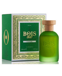 Bois 1920 Cannabis