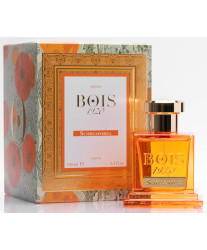 Bois 1920 Scorzaforza 