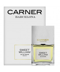 Carner Barcelona Sweet William