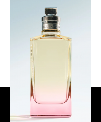 Dries Van Noten Orange Smoke Тестер