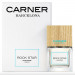 Carner Barcelona Rock Star