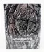 Comme des Garcons Wonderwood