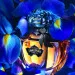 Guerlain Shalimar Millesime Iris