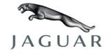 Jaguar Jaguar